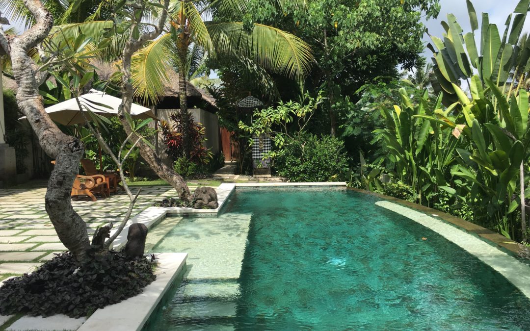 تجربتي مع Luwak Ubud Villas في بالي!