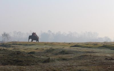 رحلتي إلى سفاري النيبال! My trip to Nepal safari!