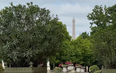 رحلتي إلى باريس: اكتشاف سان جيرمان